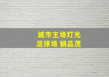 城市主场灯光足球场 销品茂